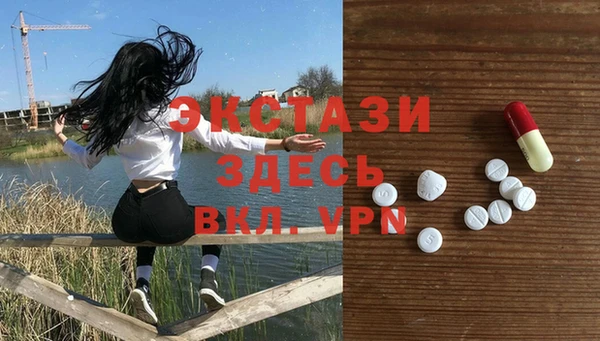 стаф Верея