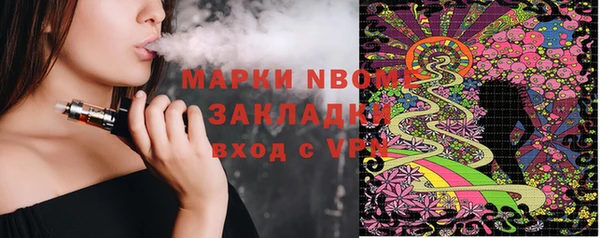 стаф Верея