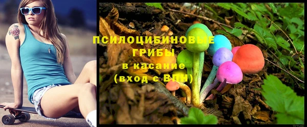 стаф Верея