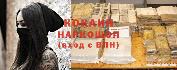 стаф Верея
