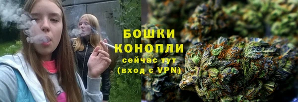 стаф Верея