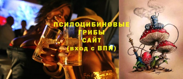 стаф Верея
