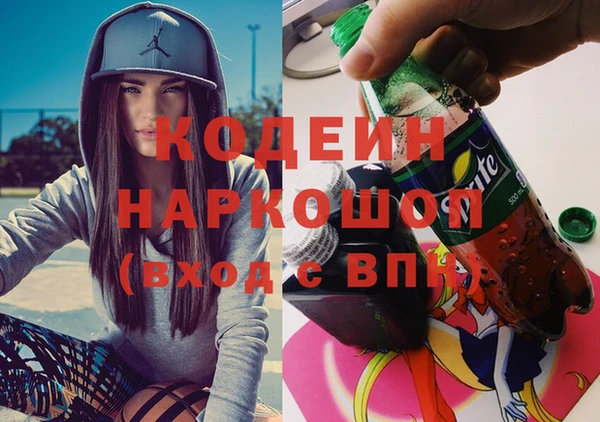 стаф Верея